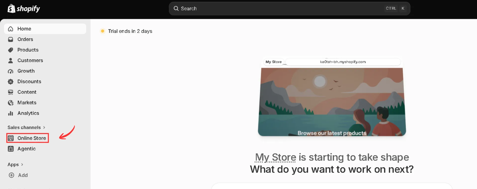 4. Acesse o painel Shopify, navegue até Loja online em Canais de vendas e clique em Temas.